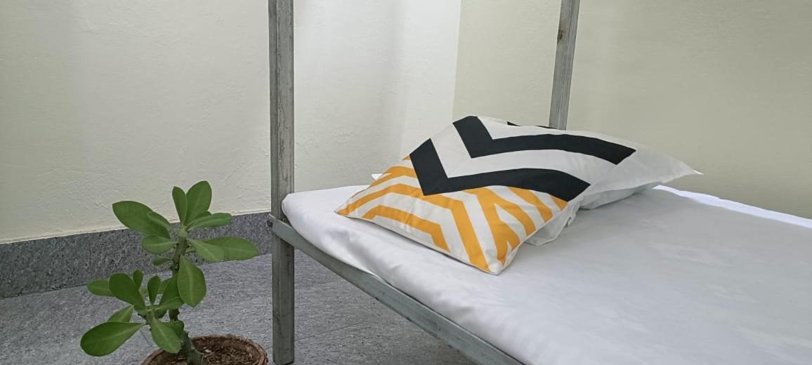 Nikunj Dorme Hostel Rājgīr Εξωτερικό φωτογραφία